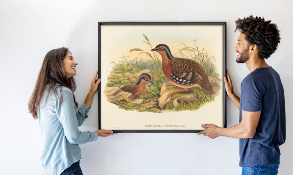 John Gould and W. Hart