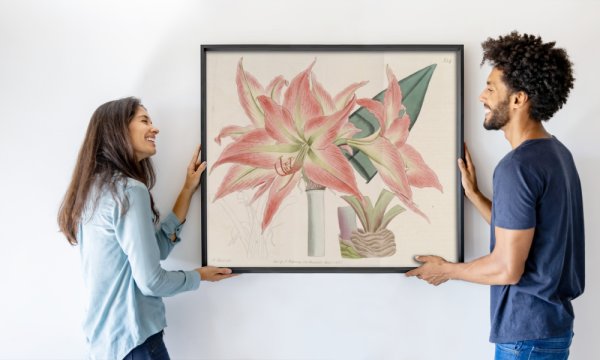 Botanical Register