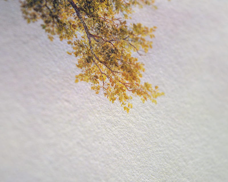 Kozo White, 110g (Mulberry fiberpapir, hvitt)  14
