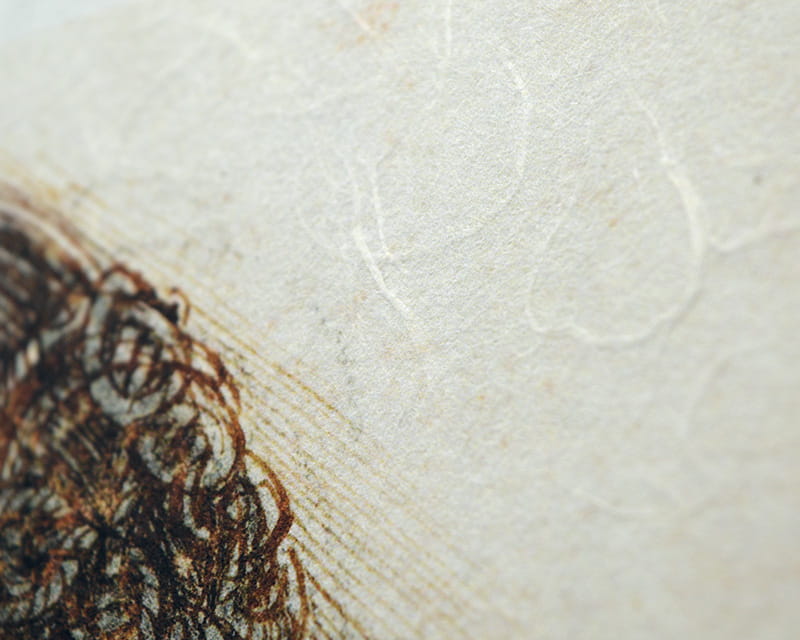 Premio Unryu, 165g (Washi med grumsete kozofibre)  22