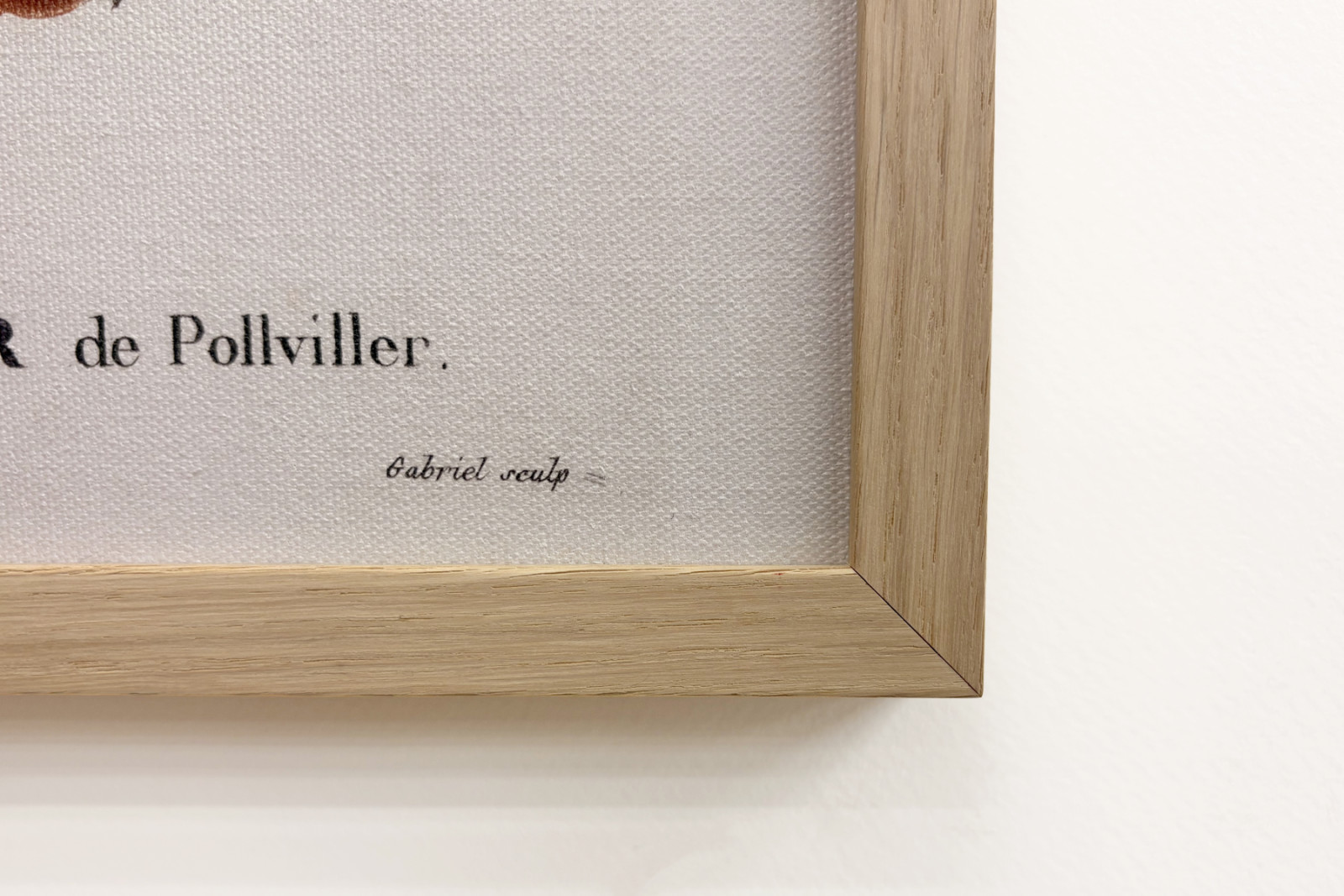Poirier de Pollviller - i "" New Duhamel du Monceau eller avhandling om trær og busker som dyrker i Frankrike"", figurer i henhold til tegningene til P.J. Redoute og P. Bessa, Paris - Pierre Joseph (after) Redoute