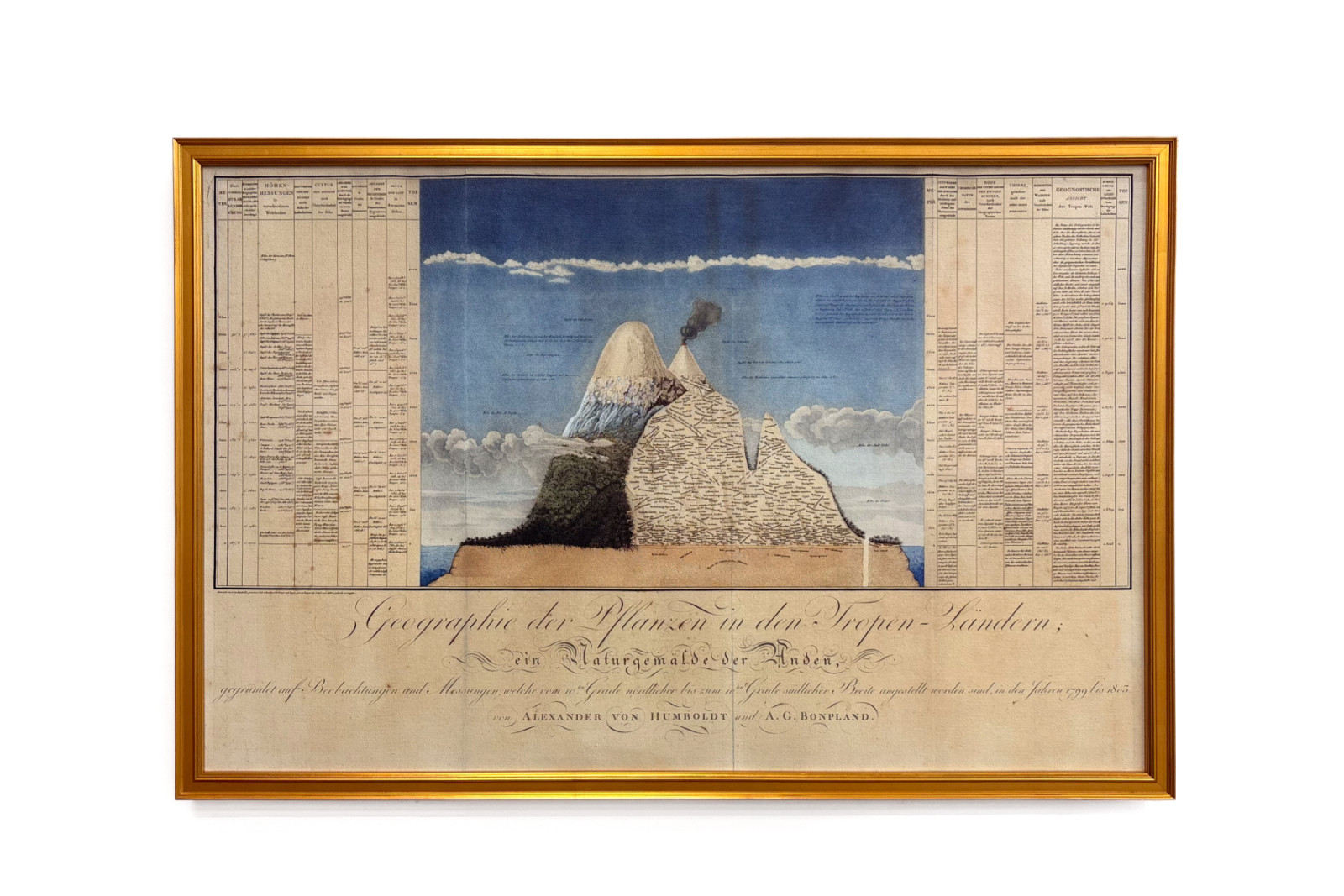 Plantenes geografi i tropiske land, en studie av Andesfjellene, tegnet av Schoenberger og Turpin, trykt av Langlois, Paris - Baron Friedrich Alexander von Humboldt