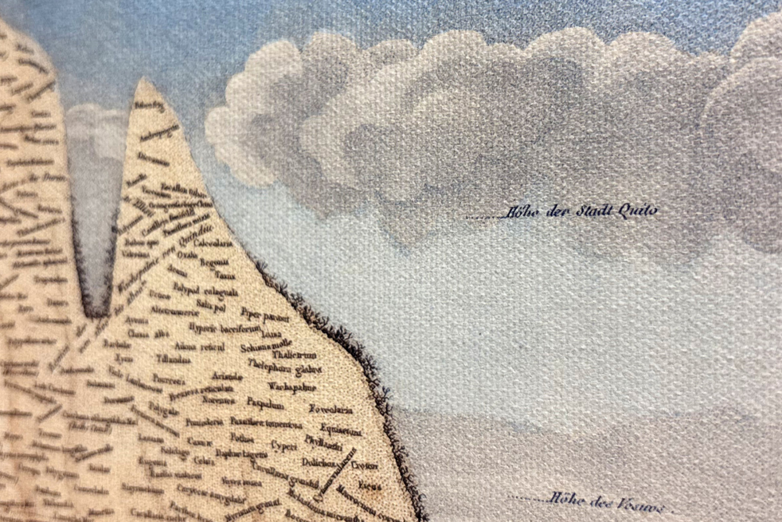 Plantenes geografi i tropiske land, en studie av Andesfjellene, tegnet av Schoenberger og Turpin, trykt av Langlois, Paris - Baron Friedrich Alexander von Humboldt