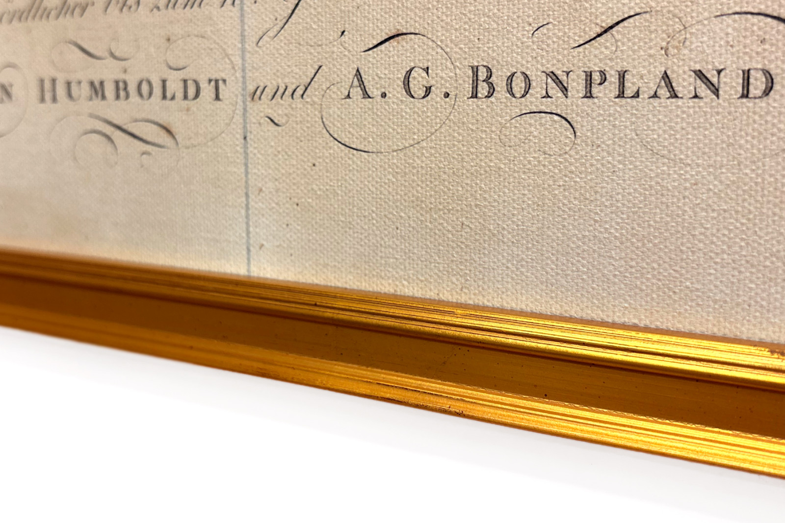 Plantenes geografi i tropiske land, en studie av Andesfjellene, tegnet av Schoenberger og Turpin, trykt av Langlois, Paris - Baron Friedrich Alexander von Humboldt