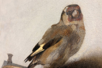 Gullfinken, 1654 - Carel Fabritius