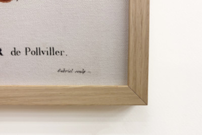 Poirier de Pollviller - i "" New Duhamel du Monceau eller avhandling om trær og busker som dyrker i Frankrike"", figurer i henhold til tegningene til P.J. Redoute og P. Bessa, Paris - Pierre Joseph (after) Redoute