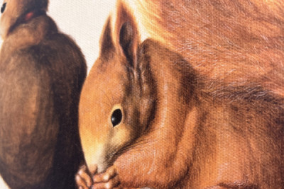 Ekorn, 1512 (tempera på pergament) - Albrecht Dürer