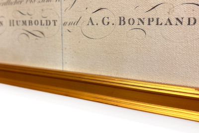 Plantenes geografi i tropiske land, en studie av Andesfjellene, tegnet av Schoenberger og Turpin, trykt av Langlois, Paris - Baron Friedrich Alexander von Humboldt
