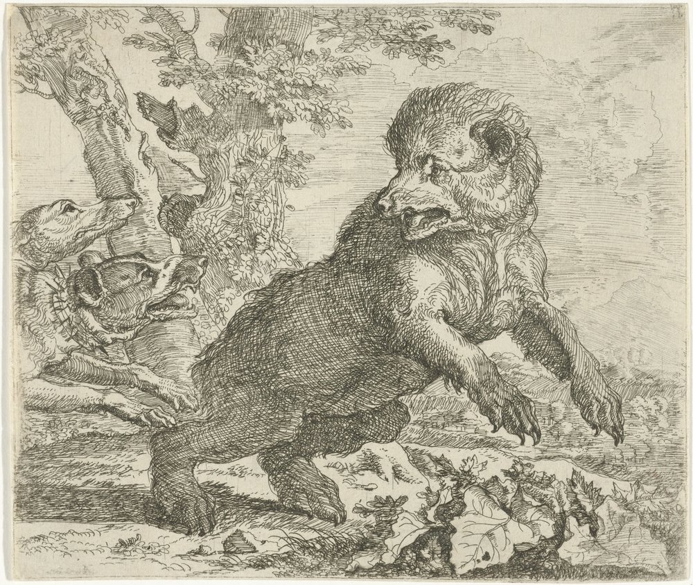 Bjørn angrepet av hunder Forskjellige dyr (serietittel) av Abraham Danielsz. Hondius