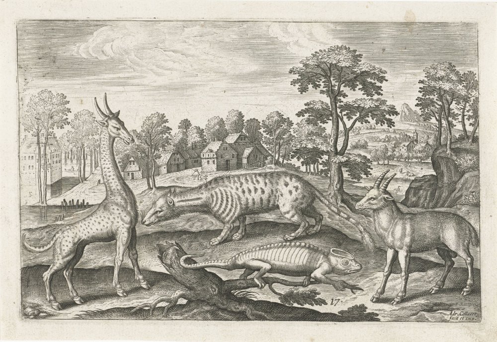 eksotiske dyr Firebeinte dyr (serietittel) Animalivm Qvaddrvpedvm (serietittel) av Adriaen Collaert