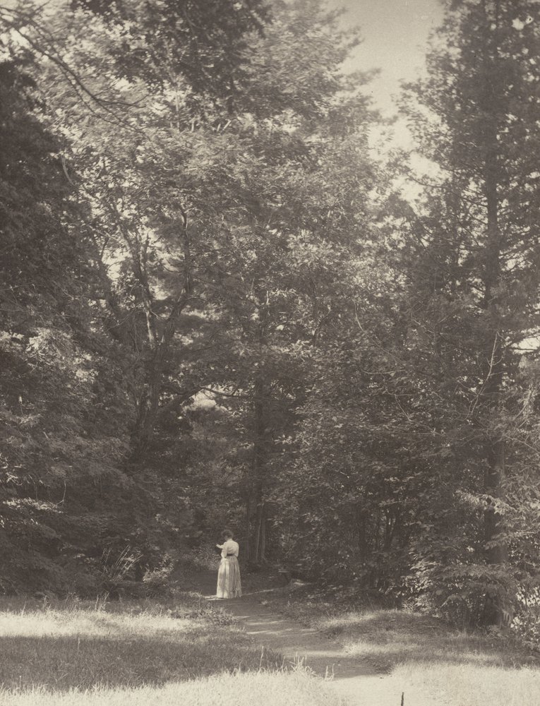 «Hedwigsweg» II, Lake George av Alfred Stieglitz