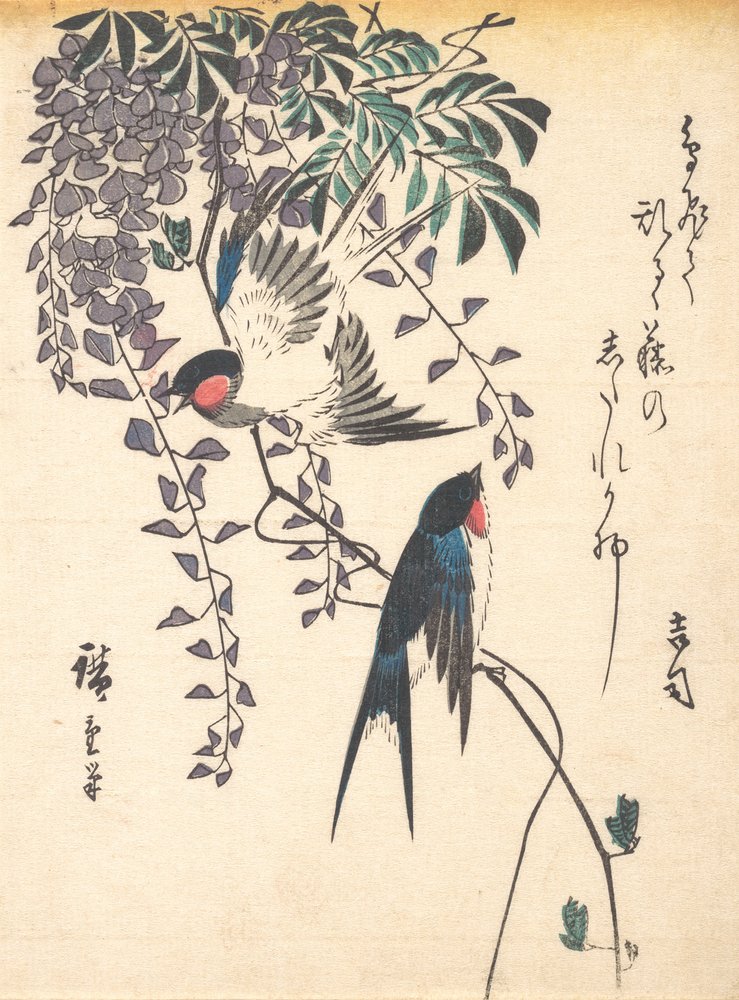 Swallow and Wisteria, midten av 1840-tallet, midten av 1840-tallet. av Ando Hiroshige