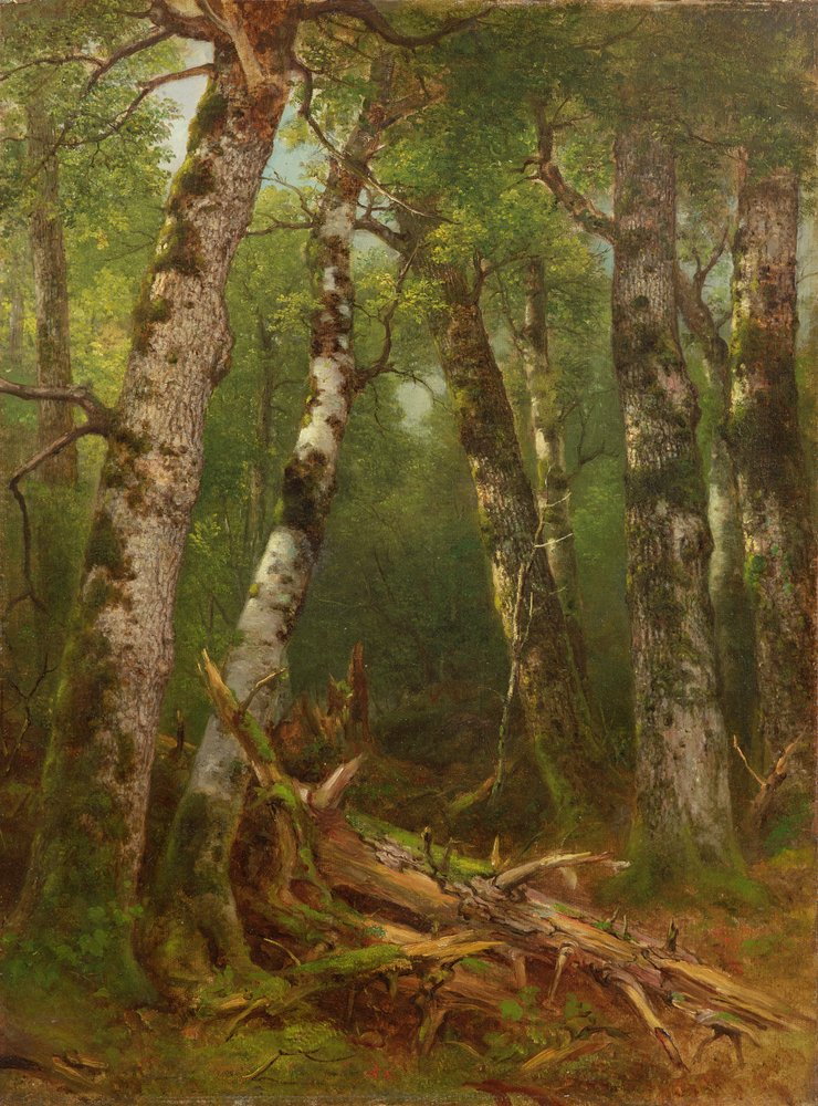 Gruppe med trær, 1855-77 av Asher Brown Durand