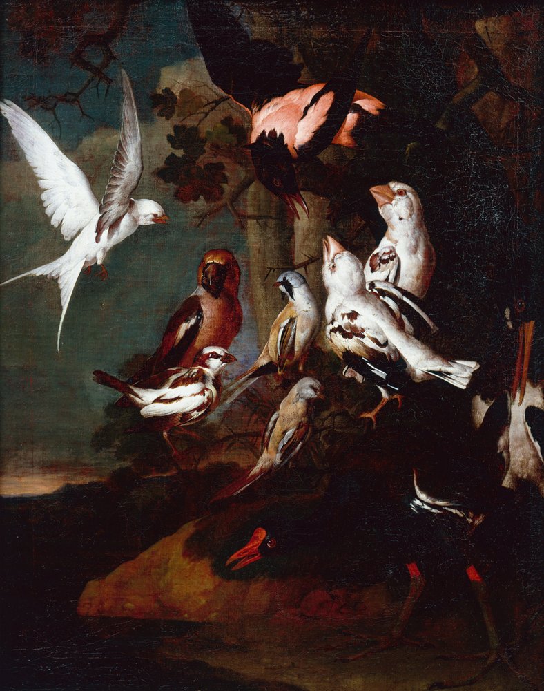 En sivhøne, svale, finker og andre fugler i et skogkledd elvelandskap av Carl Wilhelm de Hamilton