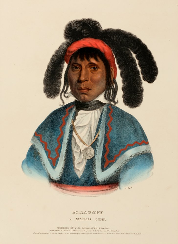 MICANOPY. EN SEMINOLE-HØVDING., fra Historien om indianerstammene i Nord-Amerika av Charles Bird King