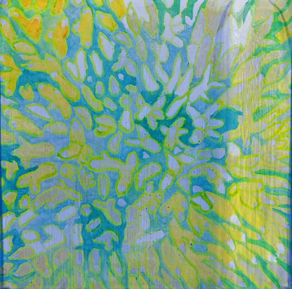 Acrapora, 2000 av Charlotte Johnstone
