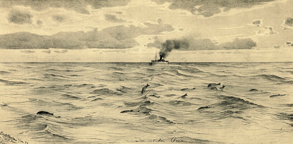 Dampskip på Det indiske hav, 1898. av Christian Wilhelm Allers