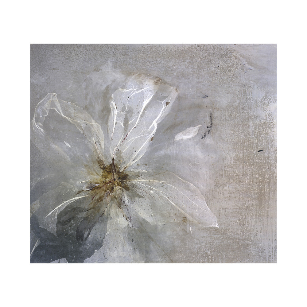  av Clotilde Ancarani
