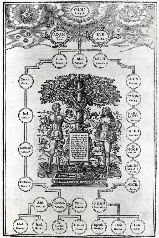 Adams og Evas slektstre, 1556 av English School