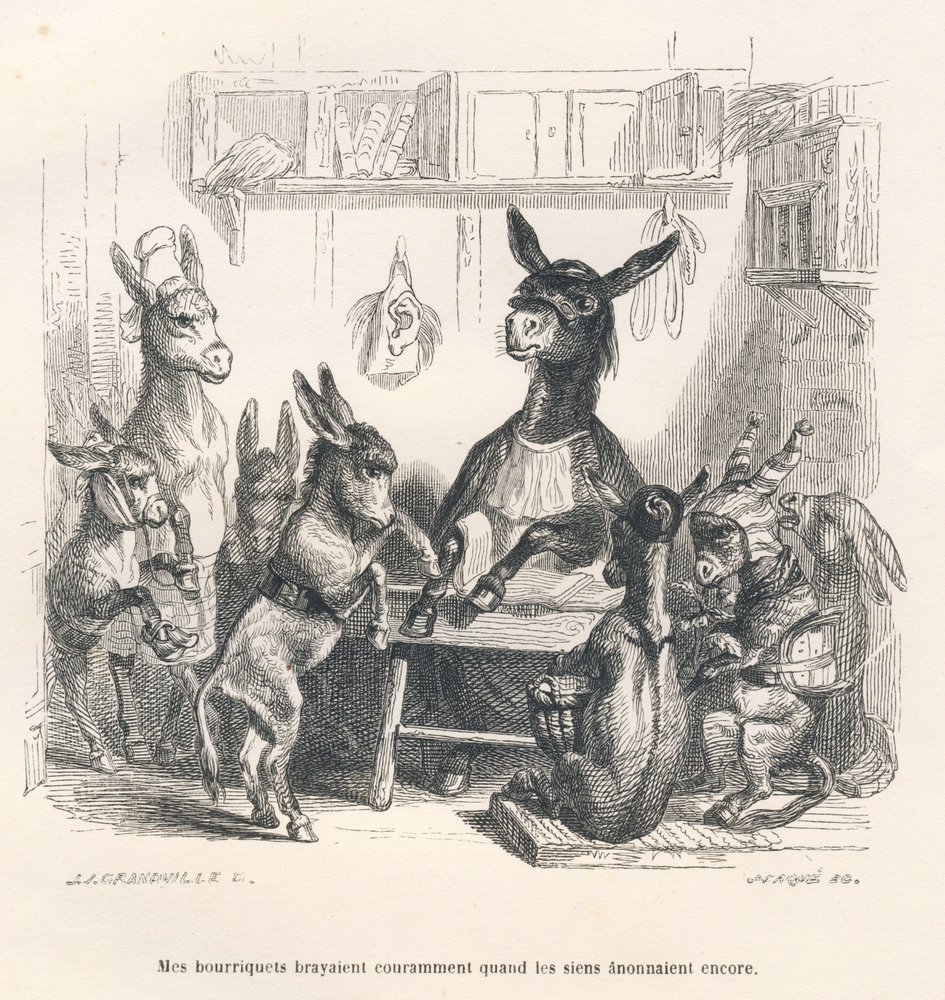 Esler på skolen. Vignetter illustrert av J. J. Grandville. Stikk signert av Caque i avsnittet «Eselveiledning for dyr som ønsker å oppnå heder», skrevet av Honoré de Balzac, i «Scener fra dyrenes private og offentlige liv». Paris av Grandville