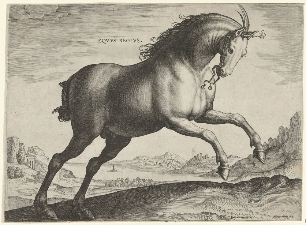 Hest av rasen Equus Regius (den kongelige) Eqvvs Regivs (tittel på objekt) Hesteraser fra Royal Stables of Don Juan of Austria (serietittel) Equile Ioannis Austriaci Caroli (serietittel) av Hieronymus Wierix