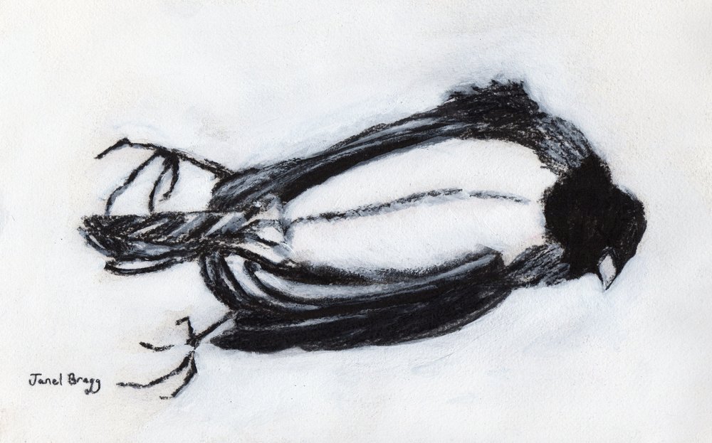 Død fugl ved trappeoppgangen min, ca. 2018 (kull og gesso på papir) av Janel Bragg