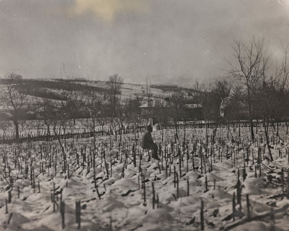 Album "Min verdenskrig - minner fra den sørvestlige fronten i Kärnten, Italia, Trentino-Alto Adige) 31/03/1915-12/11/ 1918 - Josef Zohles Wien ": militærkirkegård (s/hv-bilde) av Josef Zohles