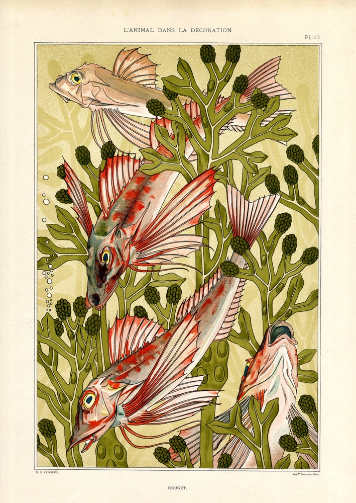 Stilisert fisk blant sjøplanter (lito) av Maurice Pillard Verneuil