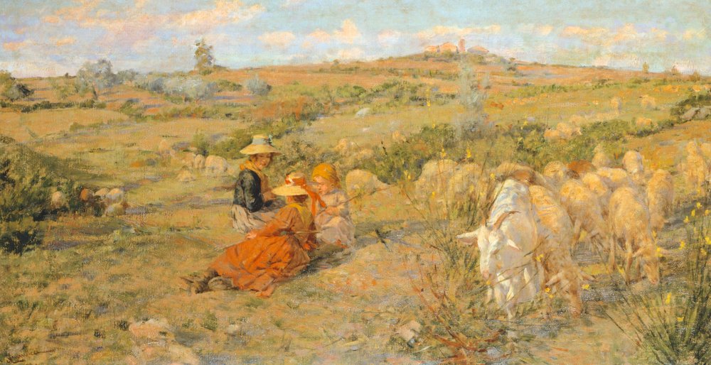 Fjellblomster av Niccolo Cannicci