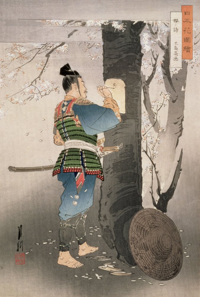 Kojima Takanori skriver et dikt på et kirsebærtre, fra serien «Bilder av Japans blomster», 1895 av Ogata Gekko