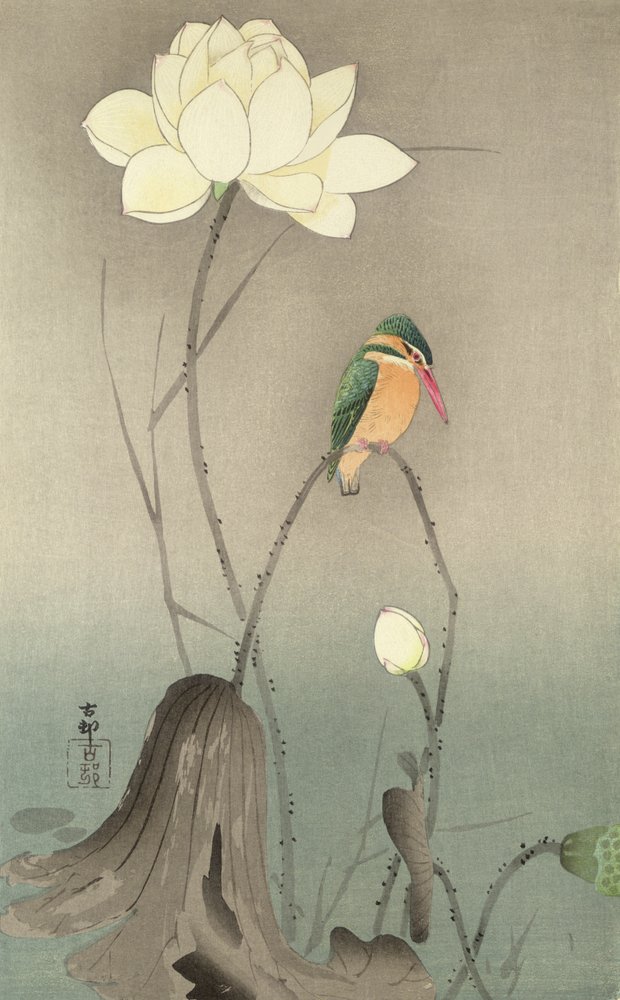 En isfugl og en lotus, ca. 1910, av Ohara Koson