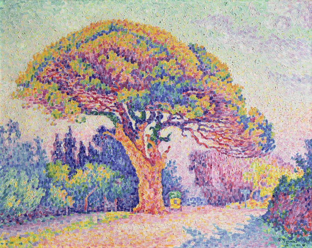 Furutreet ved St. Tropez, 1909 av Paul Signac