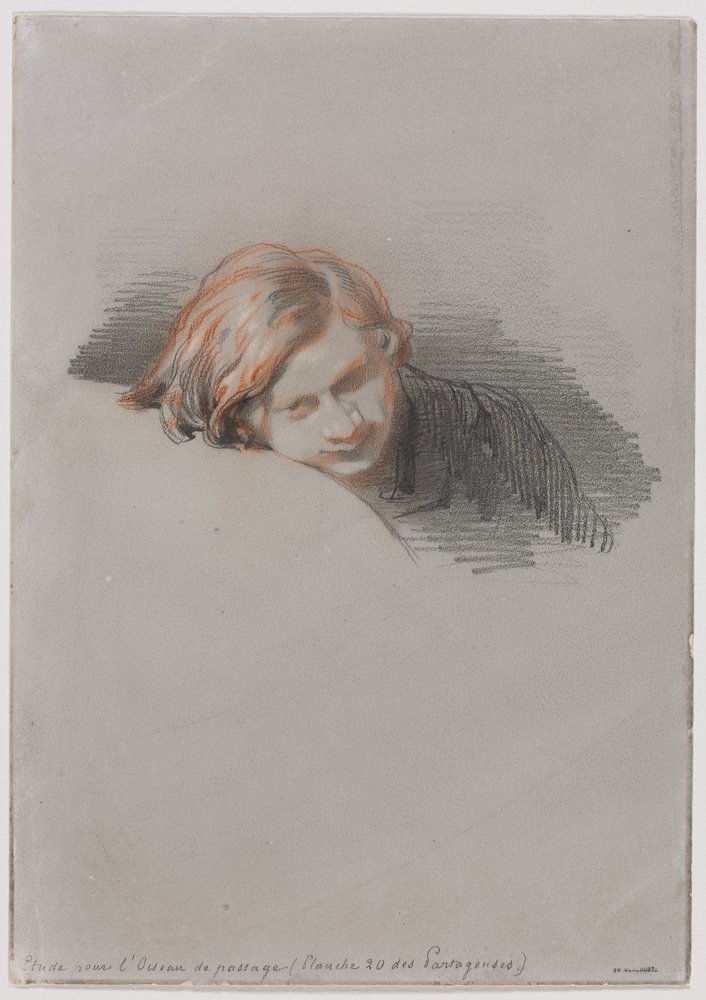 Head of a Young Man (Studie for L