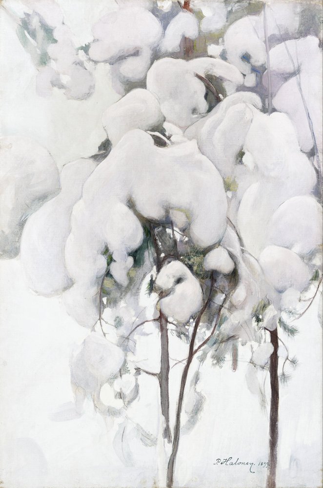 Snødekte furuplanter av Pekka Halonen