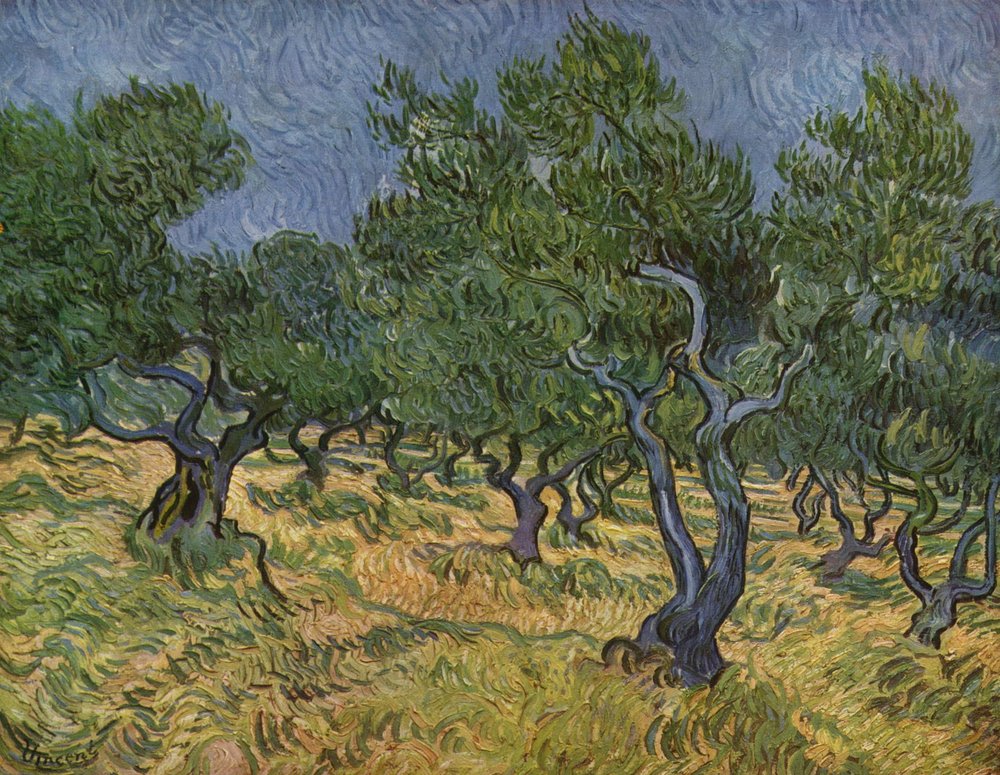 Olivenlund av Vincent van Gogh