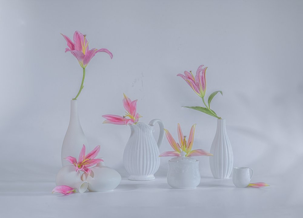 Delikate rosa liljer av Alice Sheng