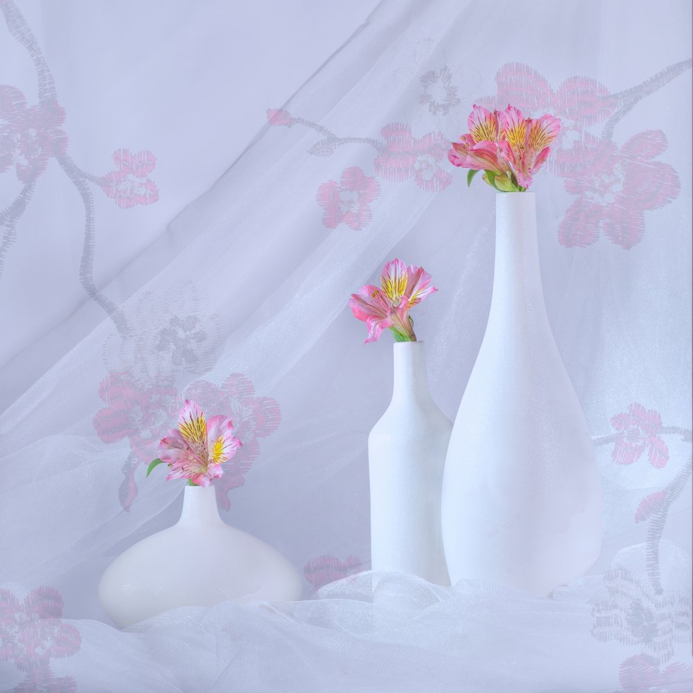 Elegante rosa blomster av Alice Sheng