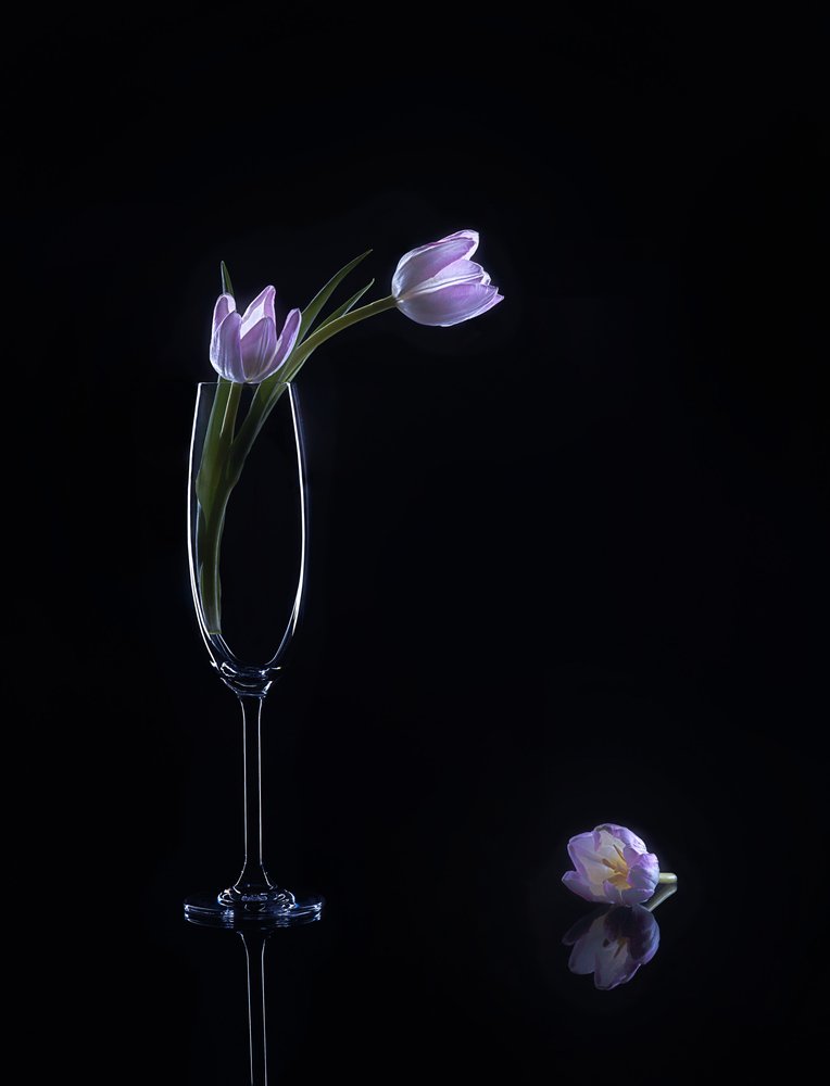 Elegante lilla tulipaner av Alice Sheng