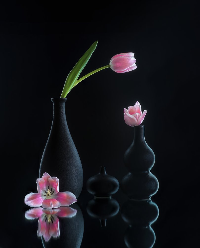 Elegante tulipanrefleksjoner av Alice Sheng