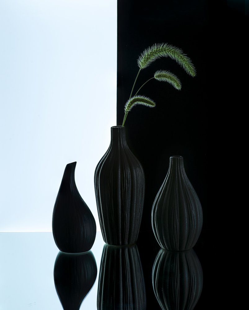 Elegante vaser med gress av Alice Sheng