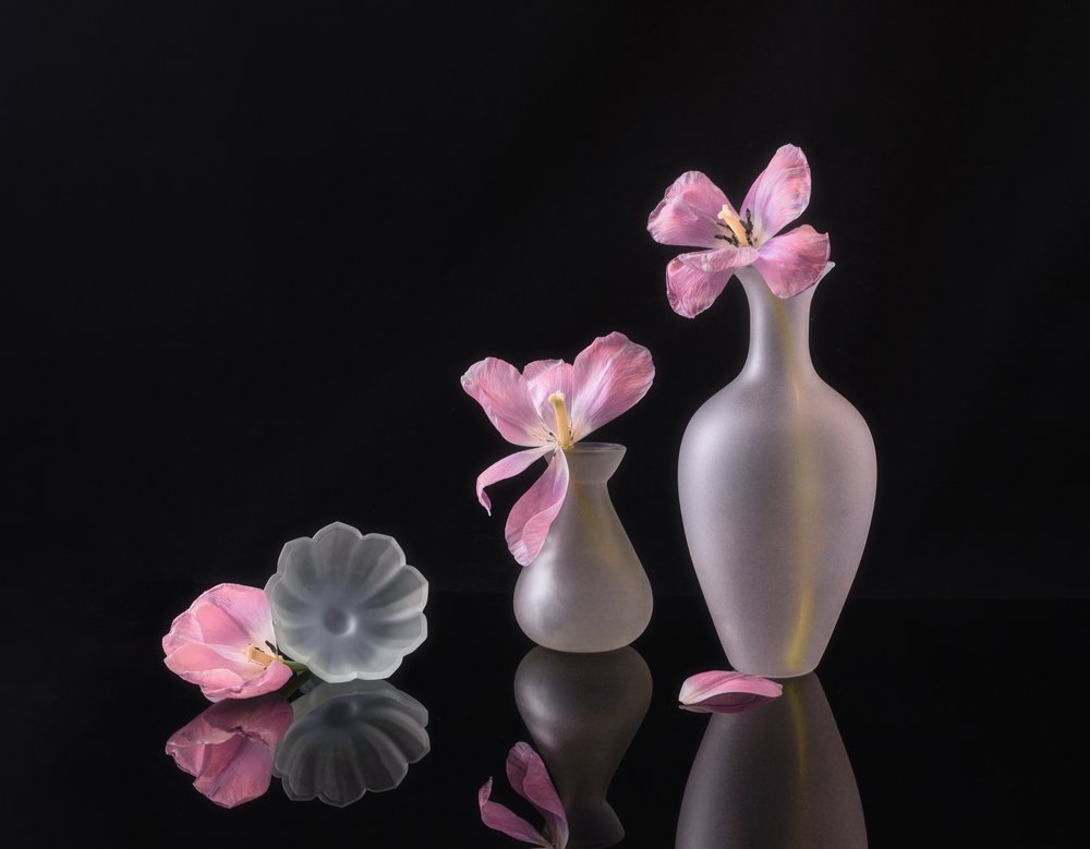 Falmede rosa tulipaner av Alice Sheng