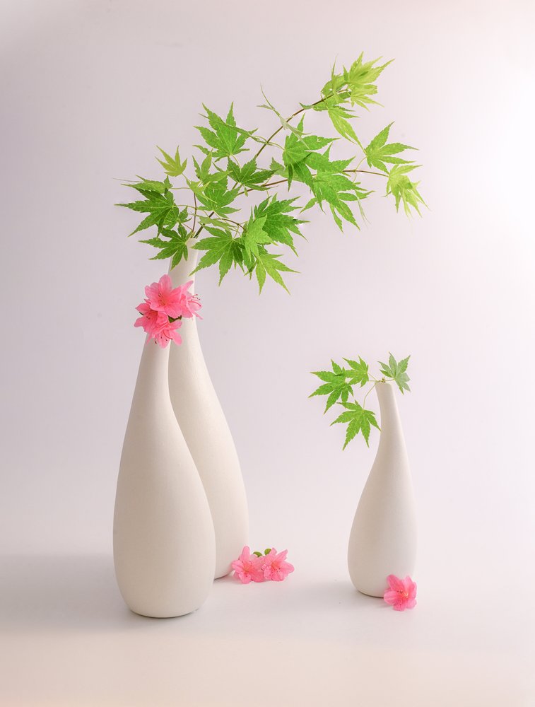 Grønne blader, rosa blomster av Alice Sheng