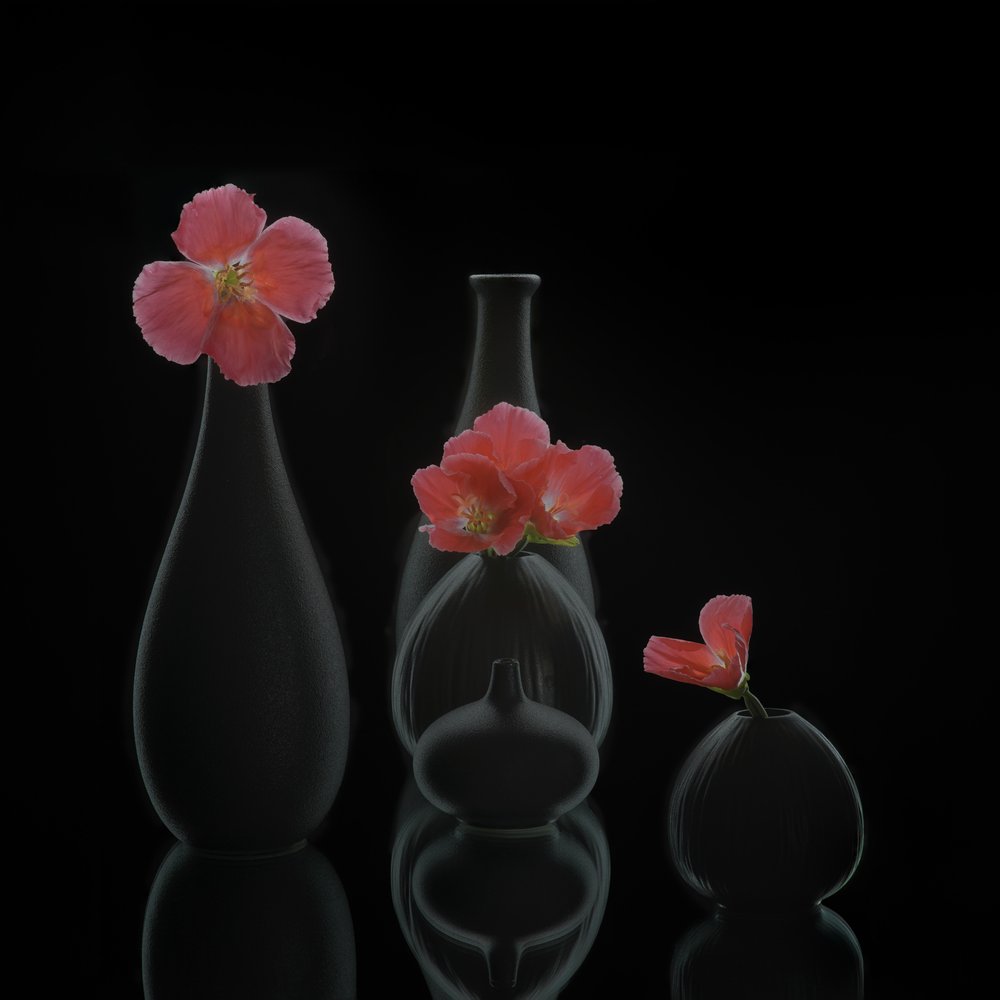 Minimalistiske blomstervaser av Alice Sheng