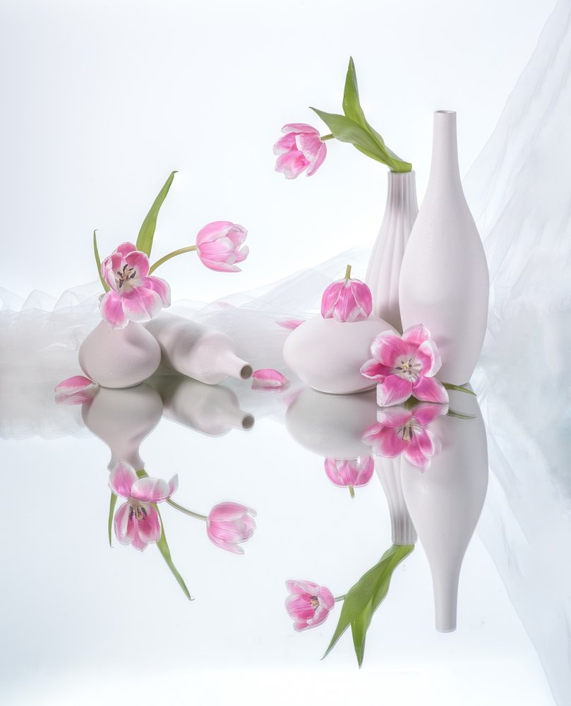 Refleksjoner av rosa tulipaner av Alice Sheng