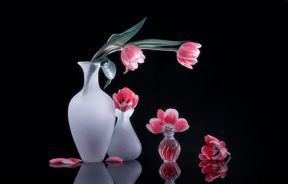 Stilleben med rosa tulipaner av Alice Sheng