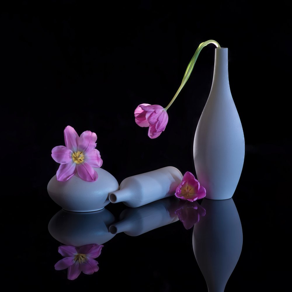 Reflekterte lilla tulipaner av Alice Sheng
