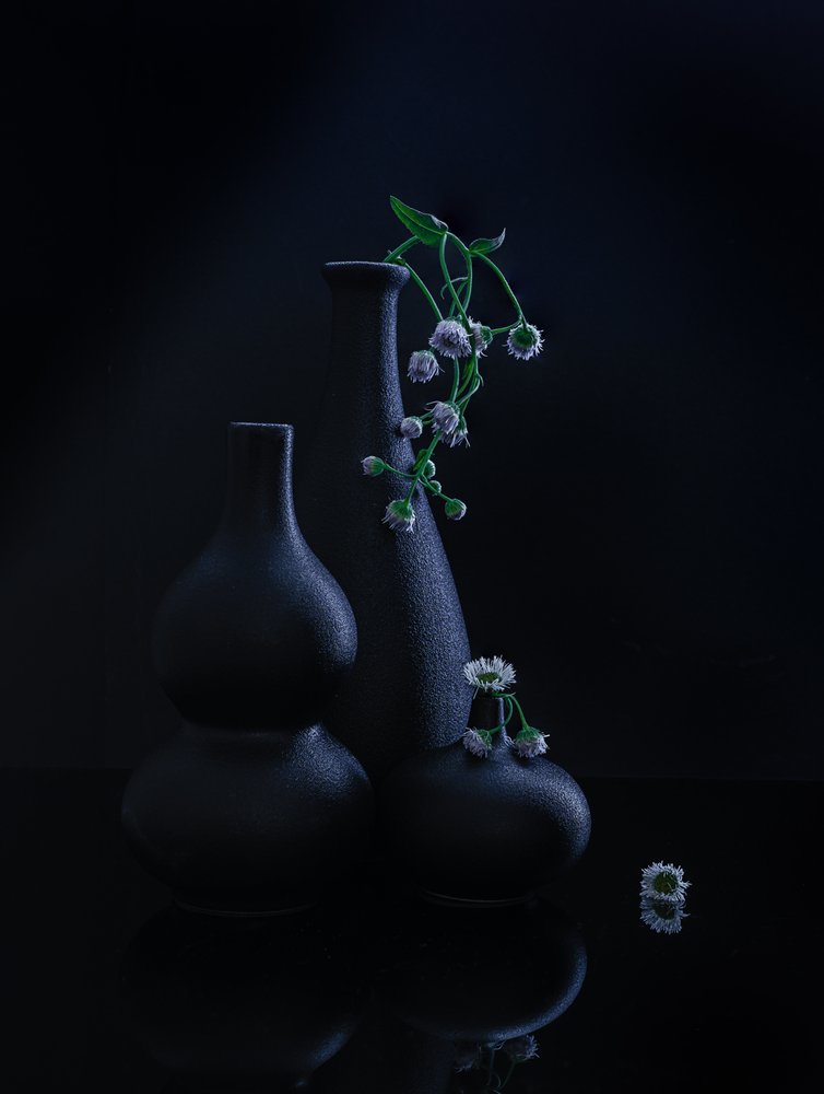 Fredelige vaser og blomster av Alice Sheng