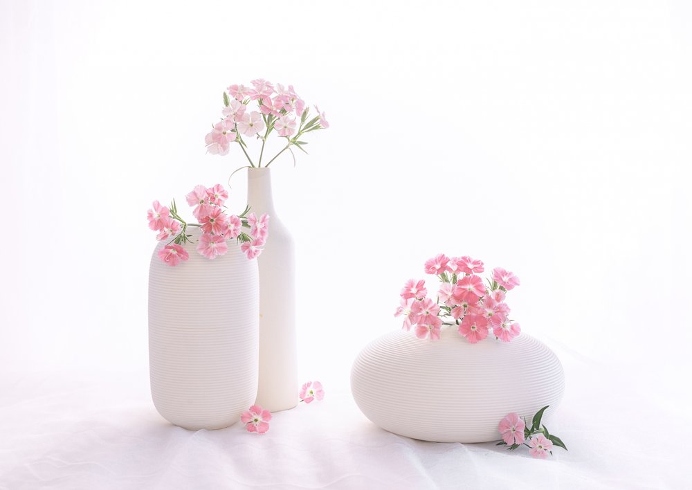 Stilleben 114 av Alice Sheng