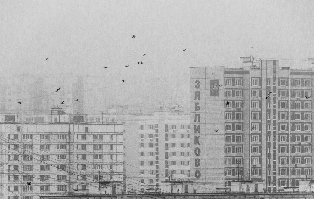 Monokrome byfugler av Andrey Kotov