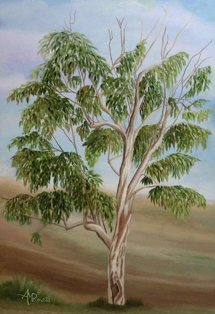  av Angeles M. Pomata